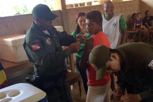 notícia: Sete municípios vacinam contra febre amarela após registrar mortes de macacos