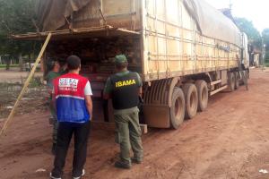 notícia: Equipe da Sefa apreende carreta com madeira serrada em Novo Progresso