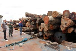 notícia: Sefa apreende e entrega para a Semas duas balsas com madeira irregular de Portel