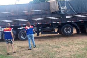 notícia: Sefa apreende acapu e madeira vermelha em Marabá