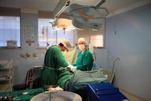 notícia: Uepa abre inscrições para pós em Cirurgia e Pesquisa Experimental no dia 11