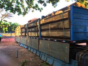 notícia: Sefa apreende 32 metros cúbicos de madeira em Marabá