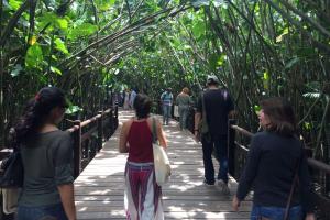 notícia: Conservação de Jardins Botânicos é debatida em Belém