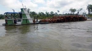 notícia: Operação Rios apreende quase 3.000m³ de madeira