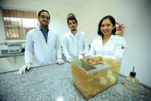 notícia: Pesquisadores da Uepa testam novo remédio contra o câncer