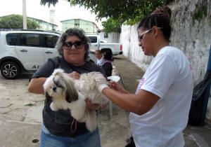 notícia: Sespa recomenda que municípios prossigam na vacinação contra a raiva animal