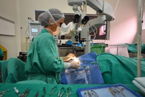 notícia: Doação de órgãos salva vidas e dá nova chance para transplantados
