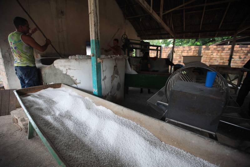 O dia começa cedo para a família do agricultor Adilson dos Santos, 33 anos. Produtores de mandioca da comunidade quilombola Boa Vista do Itá, de Santa Izabel do Pará, região metropolitana de Belém, eles são o retrato de uma tradição que vem se perpetuando por gerações e garantindo na mesa dos paraenses o produto que é a base alimentar do Estado. Do plantio ao beneficiamento, o lavrador herdou do pai a cultura que hoje é a principal fonte de renda da vila, onde vivem cerca de 50 famílias. No Pará, 96% da mandioca produzida vem da agricultura familiar. “Mandioca é pop, mandioca é tudo”, brinca Adilson. Ele está certo. Os produtos derivados da planta são diversos e ajudam a compor alguns dos pratos típicos mais conhecidos da região. Quase onipresente na mesa do paraense, a farinha é, muitas vezes, o alimento principal, nos sete dias da semana. Mas para chegar até as nossas casas, é preciso muito esforço e dedicação, aliado ao emprego de pesquisa e investimentos cada vez maiores do poder público. O conhecimento empírico do homem do campo hoje recebe o apoio de novas tecnologias e técnicas de plantio, que resultam em mais qualidade e produtividade.

FOTO: MÁCIO FERREIRA / AG PARÁ
DATA: 25.02.2018
SANTA IZABEL DO PARÁ
 <div class='credito_fotos'>Foto: MÁCIO FERREIRA/ AG. PARÁ   |   <a href='/midias/2018/originais/0278da80-ffeb-4306-a0fd-20ab3b43e43a.jpg' download><i class='fa-solid fa-download'></i> Download</a></div>