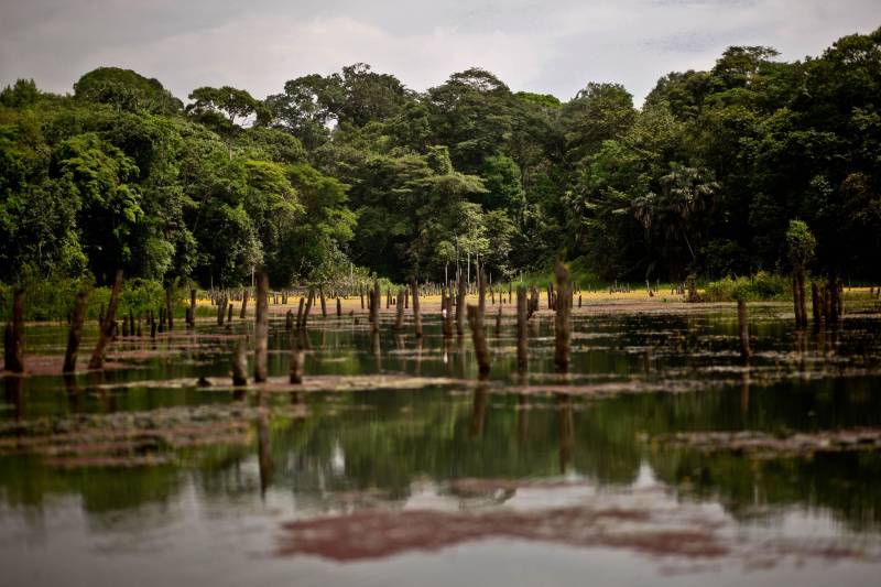 Outra importante contribuição que a obra trará para a região metropolitana é a preservação ambiental, pois a via funcionará como uma barreira física e sanitária para a Área de Preservação Ambiental (APA) Belém. O Parque do Utinga (PEUt), com 1.393,0088 hectares, é a maior área de conservação com proteção integral na Grande Belém aberta à visitação e o único parque natural do Brasil localizado em perímetro urbano.

FOTO: SIDNEY OLIVEIRA / AG. PARÁ
DATA: 08.01.2018
BELÉM - PARÁ <div class='credito_fotos'>Foto: Sidney Oliveira/Ag. Pará   |   <a href='/midias/2018/originais/03e187a6-a999-4616-bb8c-dd861dc3a243.jpg' download><i class='fa-solid fa-download'></i> Download</a></div>