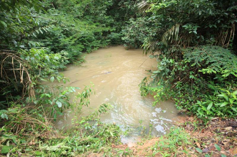 As ações do governo do Estado são imediatas no município de Barcarena, mais especificamente nas comunidades Bom Futuro e Vila Nova, localizadas na área das bacias de rejeitos da Hydro. A primeira medida é a coleta da água dos poços artesianos, para verificar se está própria para o consumo humano. Nesta sexta-feira (23), técnicos do Laboratório Central do Estado (Lacen) começaram o trabalho, que faz parte do conjunto de ações do grupo de trabalho montado pelo governo depois que o Instituto Evandro Chagas confirmou a contaminação da área.

FOTO: MÁCIO FERREIRA / AG. PARÁ
DATA: 23.02.2018
BARCARENA - PARÁ <div class='credito_fotos'>Foto: MÁCIO FERREIRA/ AG. PARÁ   |   <a href='/midias/2018/originais/09dc2b2e-f711-4269-a322-7f3c43de32c7.jpg' download><i class='fa-solid fa-download'></i> Download</a></div>