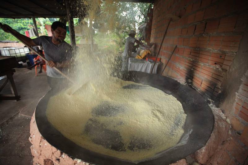 O dia começa cedo para a família do agricultor Adilson dos Santos, 33 anos. Produtores de mandioca da comunidade quilombola Boa Vista do Itá, de Santa Izabel do Pará, região metropolitana de Belém, eles são o retrato de uma tradição que vem se perpetuando por gerações e garantindo na mesa dos paraenses o produto que é a base alimentar do Estado. Do plantio ao beneficiamento, o lavrador herdou do pai a cultura que hoje é a principal fonte de renda da vila, onde vivem cerca de 50 famílias. No Pará, 96% da mandioca produzida vem da agricultura familiar. “Mandioca é pop, mandioca é tudo”, brinca Adilson. Ele está certo. Os produtos derivados da planta são diversos e ajudam a compor alguns dos pratos típicos mais conhecidos da região. Quase onipresente na mesa do paraense, a farinha é, muitas vezes, o alimento principal, nos sete dias da semana. Mas para chegar até as nossas casas, é preciso muito esforço e dedicação, aliado ao emprego de pesquisa e investimentos cada vez maiores do poder público. O conhecimento empírico do homem do campo hoje recebe o apoio de novas tecnologias e técnicas de plantio, que resultam em mais qualidade e produtividade.

FOTO: MÁCIO FERREIRA / AG PARÁ
DATA: 25.02.2018
SANTA IZABEL DO PARÁ
 <div class='credito_fotos'>Foto: MÁCIO FERREIRA/ AG. PARÁ   |   <a href='/midias/2018/originais/0e8e4541-191e-48b7-8b2b-dc8d7b3d25a8.jpg' download><i class='fa-solid fa-download'></i> Download</a></div>