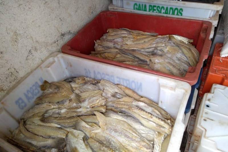 Agentes da Agência de Defesa Agropecuária do Estado do Pará (Adepará) apreenderam 300 kg de peixe salgado impróprio para o consumo na manhã desta terça-feira (22). A carga estava em diversos veículos interceptados no Posto Fiscal Agropecuário (PFA) da Adepará, no município de Ourém, na região nordeste paraense.

FOTO: ASCOM ADEPARÁ
DATA: 22.05.2018
OURÉM - PARÁ <div class='credito_fotos'>Foto: ASCOM ADEPARÁ   |   <a href='/midias/2018/originais/1fa724e5-5135-4687-9226-bb80cc8bb0dc.jpg' download><i class='fa-solid fa-download'></i> Download</a></div>