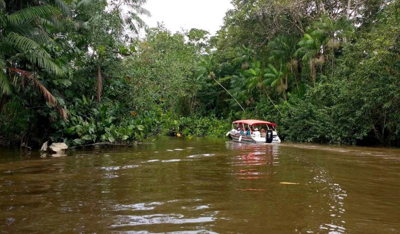 O Instituto de Desenvolvimento Florestal e da Biodiversidade do Estado do Pará (Ideflor-bio) promoveu nesta quinta feira, 11, um intercâmbio para que produtores da agricultura familiar, da Área de Proteção Ambiental (APA) da Ilha do Combu e do Refúgio de Vida Silvestre (Revis) Metrópole da Amazônia, conhecessem de perto o sistema produtivo de cacau em área de várzea, no município de Barcarena. A atividade faz parte do “Projeto AgroVárzea”, realizado pela Gerência da Região Administrativa de Belém (GRB/Ideflor-bio), que acompanha os produtores, oriundos das comunidades de Santo Amaro, Abacatal, São Benedito, Piriquitaquara e Igarapé-Combu. O projeto, além de promover a vivência em comunidades rurais, desenvolve trabalhos objetivando a diversificação de produção nas comunidades de populações tradicionais, que estão dentro e no entorno das unidades próximas à cidade de Belém.

FOTO: ASCOM / IDEFLOR-BIO
DATA: 11.05.2017
COMBU - PARÁ <div class='credito_fotos'>Foto: Ascom Ideflor   |   <a href='/midias/2018/originais/2a054132-cd0e-4c49-ad0a-2eb109ec41a7.jpg' download><i class='fa-solid fa-download'></i> Download</a></div>