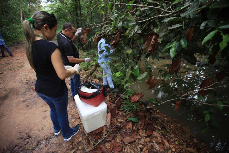 As ações do governo do Estado são imediatas no município de Barcarena, mais especificamente nas comunidades Bom Futuro e Vila Nova, localizadas na área das bacias de rejeitos da Hydro. A primeira medida é a coleta da água dos poços artesianos, para verificar se está própria para o consumo humano. Nesta sexta-feira (23), técnicos do Laboratório Central do Estado (Lacen) começaram o trabalho, que faz parte do conjunto de ações do grupo de trabalho montado pelo governo depois que o Instituto Evandro Chagas confirmou a contaminação da área.

FOTO: MÁCIO FERREIRA / AG. PARÁ
DATA: 23.02.2018
BARCARENA - PARÁ <div class='credito_fotos'>Foto: MÁCIO FERREIRA/ AG. PARÁ   |   <a href='/midias/2018/originais/2ca92919-0049-4f47-80e8-7e99321f778f.jpg' download><i class='fa-solid fa-download'></i> Download</a></div>