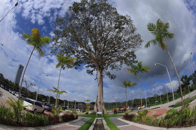 O Parque Estadual do Utinga (PEUt) o mais importante espaço de preservação e estudo da biodiversidade dentro da Região Metropolitana de Belém será reaberto à população a partir desta sexta,16, a partir das 16h30, com apresentações artísticas, com o Boi Veludinho, crianças do Pro Paz e a premiada Orquestra Sinfônica do Theatro da Paz. A apresentação será em um espaço ao ar livre e não será necessária a retirada de ingressos, por esse motivo, a recomendação é que o público chegue cedo, porque a entrada será fechada quando o espaço estiver lotado. 

FOTO: MÁCIO FERREIRA / AG PARÁ 
DATA: 16.03.2018 
BELÉM - PARÁ <div class='credito_fotos'>Foto: MÁCIO FERREIRA/ AG. PARÁ   |   <a href='/midias/2018/originais/3ad64461-813f-4da8-9db3-21a034b27061.jpg' download><i class='fa-solid fa-download'></i> Download</a></div>