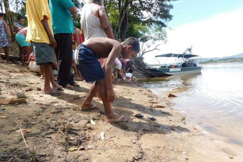 Mais de 2200 filhotes de tracajás e de tartarugas-da-amazônia foram soltos à beira do rio Araguaia na primeira semana de maio. A soltura foi realizada pela Gerência da Região Administrativa do Araguaia (GRA) do Instituto de Desenvolvimento Florestal e da Biodiversidade (Ideflor-bio), em parceira com o Instituto Ambiental Xambioá (IAX), no município de São Geraldo do Araguaia, no sudeste do Pará, e representou cerca 52% dos ovos de quelônios que foram resgatados em ações das instituições em 2017.

FOTO: ASCOM IDEFLOR-BIO
DATA: 08.05.2018
SÃO GERALDO DO ARAGUAIA - PARÁ <div class='credito_fotos'>Foto: ASCOM SEMAS   |   <a href='/midias/2018/originais/3b7375fd-0494-4294-80c1-996516eb3455.jpg' download><i class='fa-solid fa-download'></i> Download</a></div>