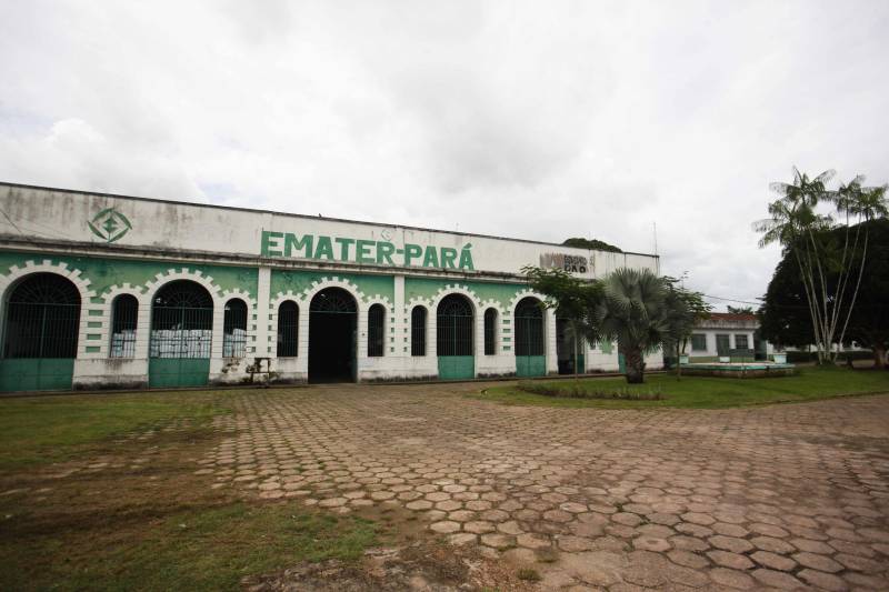 O dia começa cedo para a família do agricultor Adilson dos Santos, 33 anos. Produtores de mandioca da comunidade quilombola Boa Vista do Itá, de Santa Izabel do Pará, região metropolitana de Belém, eles são o retrato de uma tradição que vem se perpetuando por gerações e garantindo na mesa dos paraenses o produto que é a base alimentar do Estado. Do plantio ao beneficiamento, o lavrador herdou do pai a cultura que hoje é a principal fonte de renda da vila, onde vivem cerca de 50 famílias. No Pará, 96% da mandioca produzida vem da agricultura familiar. “Mandioca é pop, mandioca é tudo”, brinca Adilson. Ele está certo. Os produtos derivados da planta são diversos e ajudam a compor alguns dos pratos típicos mais conhecidos da região. Quase onipresente na mesa do paraense, a farinha é, muitas vezes, o alimento principal, nos sete dias da semana. Mas para chegar até as nossas casas, é preciso muito esforço e dedicação, aliado ao emprego de pesquisa e investimentos cada vez maiores do poder público. O conhecimento empírico do homem do campo hoje recebe o apoio de novas tecnologias e técnicas de plantio, que resultam em mais qualidade e produtividade.

FOTO: iGOR BRANDÃO / AG PARÁ
DATA: 25.02.2018
BELÉM - PARÁ <div class='credito_fotos'>Foto: IGOR BRANDÃO / AG. PARÁ   |   <a href='/midias/2018/originais/3db1667e-4261-450c-b62a-44644c787ac5.jpg' download><i class='fa-solid fa-download'></i> Download</a></div>