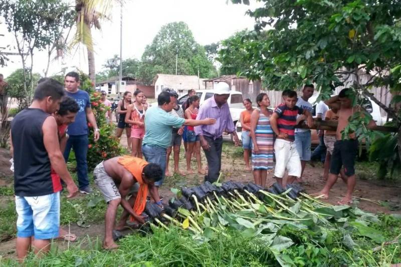 A representação regional da Secretaria de Estado de Desenvolvimento Agropecuário e da Pesca (Sedap) realizou, nesta quarta feira (21), a entrega de mudas cítricas - laranja e limão - a produtores rurais de Santarém, na região Oeste do Pará. No início deste mês, a Sedap, em parceria com instituições e entidades, distribuiu mudas de bananas a agricultores da região do Lago Grande, no interior de Santarém.

FOTO: SAMUEL ALVARENGA / SECOM
DATA: 21.02.2018
SANTARÉM - PARÁ <div class='credito_fotos'>Foto: Samuel Alvarenga / Secom   |   <a href='/midias/2018/originais/50b2f8f9-5722-4329-8b87-f16f01751e7c.jpg' download><i class='fa-solid fa-download'></i> Download</a></div>