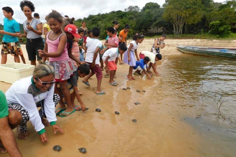 Mais de 2200 filhotes de tracajás e de tartarugas-da-amazônia foram soltos à beira do rio Araguaia na primeira semana de maio. A soltura foi realizada pela Gerência da Região Administrativa do Araguaia (GRA) do Instituto de Desenvolvimento Florestal e da Biodiversidade (Ideflor-bio), em parceira com o Instituto Ambiental Xambioá (IAX), no município de São Geraldo do Araguaia, no sudeste do Pará, e representou cerca 52% dos ovos de quelônios que foram resgatados em ações das instituições em 2017.

FOTO: ASCOM IDEFLOR-BIO
DATA: 08.05.2018
SÃO GERALDO DO ARAGUAIA - PARÁ <div class='credito_fotos'>Foto: ASCOM SEMAS   |   <a href='/midias/2018/originais/519f04b5-9799-497c-8c52-9798d2b2b371.jpg' download><i class='fa-solid fa-download'></i> Download</a></div>