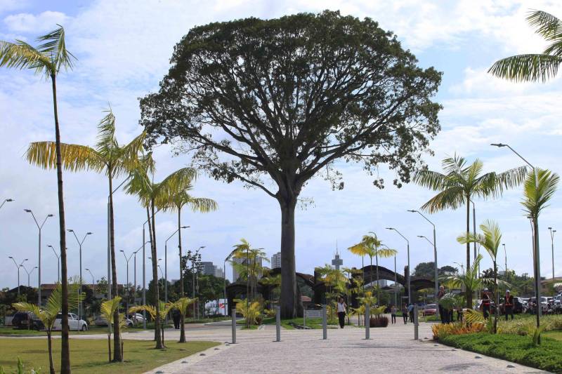 O Parque Estadual do Utinga (PEUt) o mais importante espaço de preservação e estudo da biodiversidade dentro da Região Metropolitana de Belém será reaberto à população a partir desta sexta,16, a partir das 16h30, com apresentações artísticas, com o Boi Veludinho, crianças do Pro Paz e a premiada Orquestra Sinfônica do Theatro da Paz. A apresentação será em um espaço ao ar livre e não será necessária a retirada de ingressos, por esse motivo, a recomendação é que o público chegue cedo, porque a entrada será fechada quando o espaço estiver lotado. 

FOTO: MÁCIO FERREIRA / AG PARÁ 
DATA: 16.03.2018 
BELÉM - PARÁ <div class='credito_fotos'>Foto: MÁCIO FERREIRA/ AG. PARÁ   |   <a href='/midias/2018/originais/606acdaf-6906-42b9-86e2-844a46fcd9f3.jpg' download><i class='fa-solid fa-download'></i> Download</a></div>