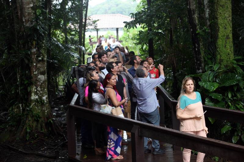 Jornalistas, influenciadores digitais e membros da sociedade civil organizada participaram, nesta quinta-feira (15), da visita guiada ao Parque Estadual do Utinga (Peut) que será inaugurado na sexta-feira (16), às 16h30. Os convidados foram recebidos pelo secretário estadual de Cultura, o arquiteto Paulo Chaves; pelo presidente do Ideflor-bio, Thiago Novaes; pelo gerente do Peut, Julio Meyer; pelo secretário de comunicação, Daniel Nardin e pelo representante da diretoria da Unidade de Conservação do Parque, Wendel Andrade. O evento começou às 9h com a apresentação das melhorias feitas no espaço durante as obras, dos serviços que funcionarão no local e de algumas normas de utilização desse novo equipamento. 

FOTO: SIDNEY OLIVEIRA / AG. PARÁ
DATA: 15.03.2018
BELÉM - PARÁ <div class='credito_fotos'>Foto: Sidney Oliveira/Ag. Pará   |   <a href='/midias/2018/originais/68cb5415-2d7f-4545-ae0b-bc286044b83f.jpg' download><i class='fa-solid fa-download'></i> Download</a></div>