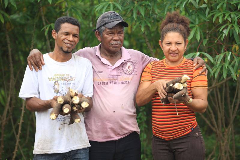 O dia começa cedo para a família do agricultor Adilson dos Santos, 33 anos. Produtores de mandioca da comunidade quilombola Boa Vista do Itá, de Santa Izabel do Pará, região metropolitana de Belém, eles são o retrato de uma tradição que vem se perpetuando por gerações e garantindo na mesa dos paraenses o produto que é a base alimentar do Estado. Do plantio ao beneficiamento, o lavrador herdou do pai a cultura que hoje é a principal fonte de renda da vila, onde vivem cerca de 50 famílias. No Pará, 96% da mandioca produzida vem da agricultura familiar. “Mandioca é pop, mandioca é tudo”, brinca Adilson. Ele está certo. Os produtos derivados da planta são diversos e ajudam a compor alguns dos pratos típicos mais conhecidos da região. Quase onipresente na mesa do paraense, a farinha é, muitas vezes, o alimento principal, nos sete dias da semana. Mas para chegar até as nossas casas, é preciso muito esforço e dedicação, aliado ao emprego de pesquisa e investimentos cada vez maiores do poder público. O conhecimento empírico do homem do campo hoje recebe o apoio de novas tecnologias e técnicas de plantio, que resultam em mais qualidade e produtividade. Na foto, o agricultor Adilson dos Santos (e), 33 anos, o pai Antônio (c) e Raimunda do carmo.

FOTO: MÁCIO FERREIRA / AG PARÁ
DATA: 25.02.2018
SANTA IZABEL DO PARÁ
 <div class='credito_fotos'>Foto: MÁCIO FERREIRA/ AG. PARÁ   |   <a href='/midias/2018/originais/6fea08bc-ad90-4706-a22e-a5f31fb13664.jpg' download><i class='fa-solid fa-download'></i> Download</a></div>