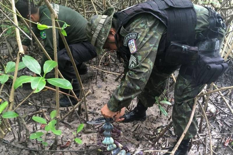 A fiscalização ambiental da Secretaria de Estado de Meio Ambiente e Sustentabilidade (Semas) apreendeu cerca de dois mil caranguejos durante uma operação de proteção ao período de defeso, que percorreu diversos municípios em janeiro e fevereiro. 

FOTO: ASCOM SEMAS
DATA: 22.02.2018 <div class='credito_fotos'>Foto: ASCOM SEMAS   |   <a href='/midias/2018/originais/744c89f5-94b8-45cf-81c8-8caea308b40c.jpg' download><i class='fa-solid fa-download'></i> Download</a></div>