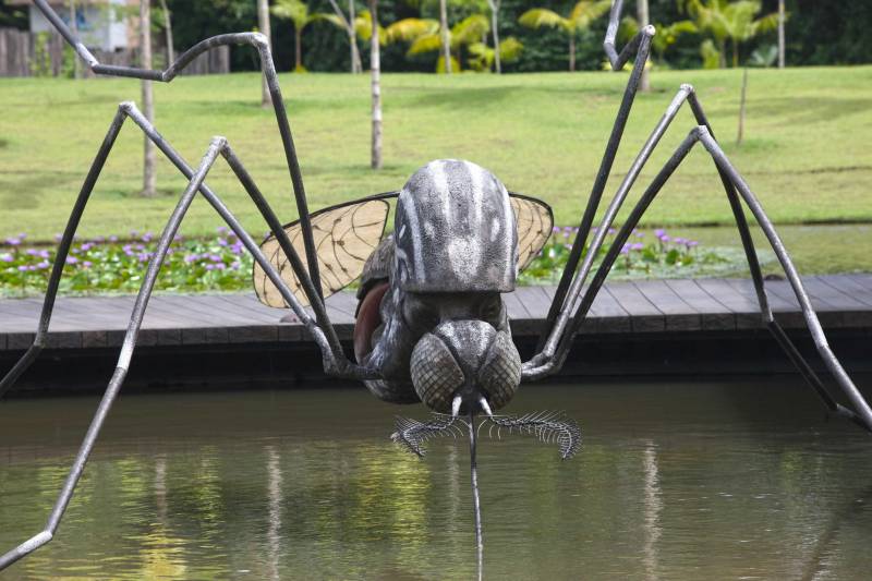 O Parque Estadual do Utinga (PEUt) o mais importante espaço de preservação e estudo da biodiversidade dentro da Região Metropolitana de Belém será reaberto à população a partir desta sexta,16, a partir das 16h30, com apresentações artísticas, com o Boi Veludinho, crianças do Pro Paz e a premiada Orquestra Sinfônica do Theatro da Paz. A apresentação será em um espaço ao ar livre e não será necessária a retirada de ingressos, por esse motivo, a recomendação é que o público chegue cedo, porque a entrada será fechada quando o espaço estiver lotado. No sábado, será realizada uma grande caminhada, a partir das 8 horas, com paradas para informações educativas sobre a fauna, flora e sobre os novos espaços. Por conta da grande quantidade de pessoas, incluindo crianças e idosos, o Corpo de Bombeiros recomendou e, a organização do evento acatou, a necessidade de se evitar durante a manhã do sábado o trânsito de veículos sobre rodas, como carros, bicicletas, skates e patins. Depois das 12 horas e durante todo o funcionamento do parque, a entrada e o uso por praticantes desta modalidade está completamente liberada. No domingo, o parque abrirá às 5h30 e funcionará até as 17h, assim como nos outros dias, de segunda a segunda. As atividades de manutenção do espaço vão requerer que o parque seja fechado para acesso ao público eventualmente, mas essas datas serão definidas de acordo com a demanda. 

FOTO: IGOR BRANDÃO / AG PARÁ
DATA: 15.03.2018
BELÉM - PARÁ <div class='credito_fotos'>Foto: IGOR BRANDÃO / AG. PARÁ   |   <a href='/midias/2018/originais/762dd5f3-59ea-4c64-ada8-f44b9aeaf738.jpg' download><i class='fa-solid fa-download'></i> Download</a></div>