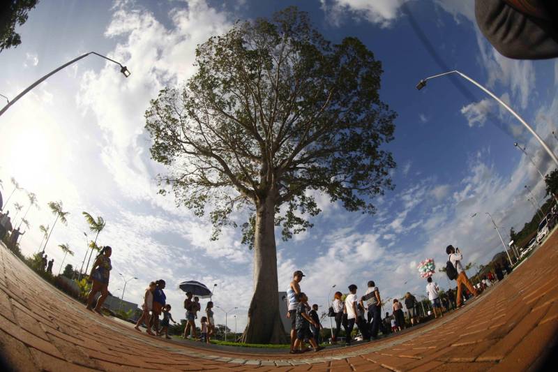 O Parque Estadual do Utinga (PEUt) o mais importante espaço de preservação e estudo da biodiversidade dentro da Região Metropolitana de Belém será reaberto à população a partir desta sexta,16, a partir das 16h30, com apresentações artísticas, com o Boi Veludinho, crianças do Pro Paz e a premiada Orquestra Sinfônica do Theatro da Paz. A apresentação será em um espaço ao ar livre e não será necessária a retirada de ingressos, por esse motivo, a recomendação é que o público chegue cedo, porque a entrada será fechada quando o espaço estiver lotado. 

FOTO: THIAGO GOMES / AG PARÁ 
DATA: 16.03.2018 
BELÉM - PARÁ <div class='credito_fotos'>Foto: Thiago Gomes /Ag. Pará   |   <a href='/midias/2018/originais/76b7d694-9059-429d-a4ef-b8cd23cd2127.jpg' download><i class='fa-solid fa-download'></i> Download</a></div>