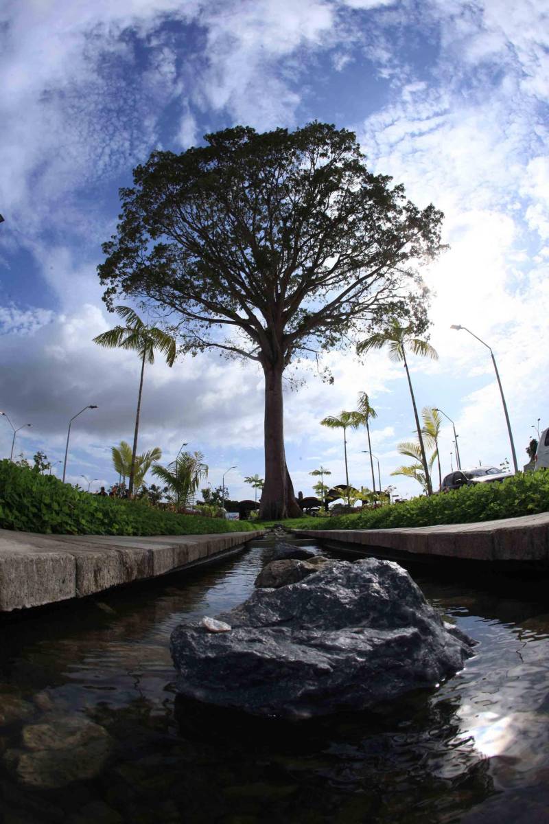 O Parque Estadual do Utinga (PEUt) o mais importante espaço de preservação e estudo da biodiversidade dentro da Região Metropolitana de Belém será reaberto à população a partir desta sexta,16, a partir das 16h30, com apresentações artísticas, com o Boi Veludinho, crianças do Pro Paz e a premiada Orquestra Sinfônica do Theatro da Paz. A apresentação será em um espaço ao ar livre e não será necessária a retirada de ingressos, por esse motivo, a recomendação é que o público chegue cedo, porque a entrada será fechada quando o espaço estiver lotado. 

FOTO: MÁCIO FERREIRA / AG PARÁ 
DATA: 16.03.2018 
BELÉM - PARÁ <div class='credito_fotos'>Foto: MÁCIO FERREIRA/ AG. PARÁ   |   <a href='/midias/2018/originais/776d589d-e198-4f14-8a38-bd0f86ce747a.jpg' download><i class='fa-solid fa-download'></i> Download</a></div>