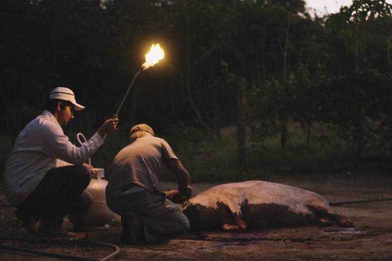 Desde 2014 não há mais jovens morando na região de Paulistas e Soledade, na zona rural de Goiás; apenas adultos e idosos. É a partir desta realidade que o filme-documentário “Paulistas” conta a história de três irmãos que voltam à região para visitar os pais. A estreia foi nesta quinta-feira (22), no Cine Líbero Luxardo, no Centur, durante a Sessão Vitrine Petrobras, iniciada às 16 h. O filme foi escrito e dirigido por Daniel Nolasco. Os personagens Samuel, Vinícius e Rafael haviam se mudado para Catalão, na zona urbana de Goiás. Porém, nas férias de julho, os três retornam à cidade – que está abandonada. A trilha sonora é da banda brasileira de rock psicodélico Boogarins, o que complementa o sentimento de solidão. Na foto, cena de "Paulostas".

FOTO: DIVULGAÇÃO
DATA:22.02.2018
BELÉM - PARÁ <div class='credito_fotos'>Foto: Divulgação   |   <a href='/midias/2018/originais/7900ec14-293b-4037-91a3-3e8d6bf779ce.jpg' download><i class='fa-solid fa-download'></i> Download</a></div>