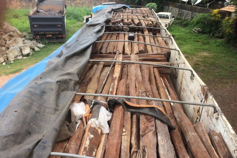 Equipes de fiscalização da Secretaria de Estado da Fazenda (Sefa) apreenderam, na quinta-feira, 22, 30 metros cúbicos (1.014 unidades) de estacas da espécie vegetal acapu, na Rodovia BR-222, em Marabá, na região sudeste do Pará. O transportador portava nota fiscal e guia de transporte falsificados. A apreensão foi feita por servidores das unidades fazendárias da Ponte do Rio Tocantins e Ferrovia do Carajás, que fazem parte da coordenação de mercadoria em trânsito de Carajás.

FOTO: ASCOM / SEFA
DATA: 24.02.2018
MARABÁ - PARÁ <div class='credito_fotos'>Foto: Ascom Sefa   |   <a href='/midias/2018/originais/7a08e2c2-2af1-4308-b9c8-792986d97944.jpg' download><i class='fa-solid fa-download'></i> Download</a></div>