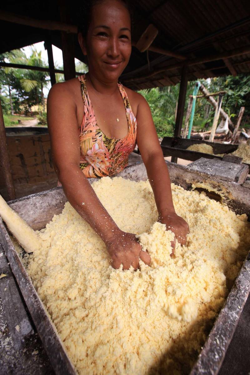 O dia começa cedo para a família do agricultor Adilson dos Santos, 33 anos. Produtores de mandioca da comunidade quilombola Boa Vista do Itá, de Santa Izabel do Pará, região metropolitana de Belém, eles são o retrato de uma tradição que vem se perpetuando por gerações e garantindo na mesa dos paraenses o produto que é a base alimentar do Estado. Do plantio ao beneficiamento, o lavrador herdou do pai a cultura que hoje é a principal fonte de renda da vila, onde vivem cerca de 50 famílias. No Pará, 96% da mandioca produzida vem da agricultura familiar. “Mandioca é pop, mandioca é tudo”, brinca Adilson. Ele está certo. Os produtos derivados da planta são diversos e ajudam a compor alguns dos pratos típicos mais conhecidos da região. Quase onipresente na mesa do paraense, a farinha é, muitas vezes, o alimento principal, nos sete dias da semana. Mas para chegar até as nossas casas, é preciso muito esforço e dedicação, aliado ao emprego de pesquisa e investimentos cada vez maiores do poder público. O conhecimento empírico do homem do campo hoje recebe o apoio de novas tecnologias e técnicas de plantio, que resultam em mais qualidade e produtividade. Na foto, Vilma dos Santos.

FOTO: MÁCIO FERREIRA / AG PARÁ
DATA: 25.02.2018
SANTA IZABEL DO PARÁ
 <div class='credito_fotos'>Foto: MÁCIO FERREIRA/ AG. PARÁ   |   <a href='/midias/2018/originais/7bbf0e13-2afe-4868-9084-309a4a6487d2.jpg' download><i class='fa-solid fa-download'></i> Download</a></div>