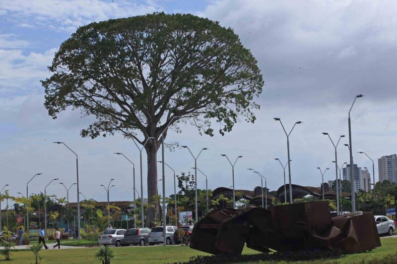 O Parque Estadual do Utinga (PEUt) o mais importante espaço de preservação e estudo da biodiversidade dentro da Região Metropolitana de Belém será reaberto à população a partir desta sexta,16, a partir das 16h30, com apresentações artísticas, com o Boi Veludinho, crianças do Pro Paz e a premiada Orquestra Sinfônica do Theatro da Paz. A apresentação será em um espaço ao ar livre e não será necessária a retirada de ingressos, por esse motivo, a recomendação é que o público chegue cedo, porque a entrada será fechada quando o espaço estiver lotado. 

FOTO: MÁCIO FERREIRA / AG PARÁ 
DATA: 16.03.2018 
BELÉM - PARÁ <div class='credito_fotos'>Foto: MÁCIO FERREIRA/ AG. PARÁ   |   <a href='/midias/2018/originais/7f8dc709-9ccd-4723-b776-ca065221a54e.jpg' download><i class='fa-solid fa-download'></i> Download</a></div>