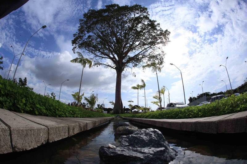 O Parque Estadual do Utinga (PEUt) o mais importante espaço de preservação e estudo da biodiversidade dentro da Região Metropolitana de Belém será reaberto à população a partir desta sexta,16, a partir das 16h30, com apresentações artísticas, com o Boi Veludinho, crianças do Pro Paz e a premiada Orquestra Sinfônica do Theatro da Paz. A apresentação será em um espaço ao ar livre e não será necessária a retirada de ingressos, por esse motivo, a recomendação é que o público chegue cedo, porque a entrada será fechada quando o espaço estiver lotado. 

FOTO: MÁCIO FERREIRA / AG PARÁ 
DATA: 16.03.2018 
BELÉM - PARÁ <div class='credito_fotos'>Foto: MÁCIO FERREIRA/ AG. PARÁ   |   <a href='/midias/2018/originais/a8236dcc-4f75-4b5f-a8ee-9fa36f3dd6f9.jpg' download><i class='fa-solid fa-download'></i> Download</a></div>