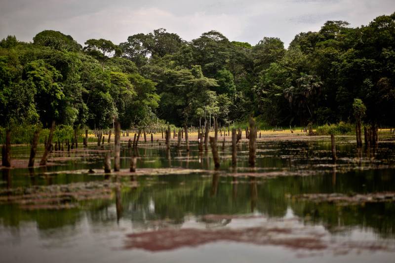Outra importante contribuição que a obra trará para a região metropolitana é a preservação ambiental, pois a via funcionará como uma barreira física e sanitária para a Área de Preservação Ambiental (APA) Belém. O Parque do Utinga (PEUt), com 1.393,0088 hectares, é a maior área de conservação com proteção integral na Grande Belém aberta à visitação e o único parque natural do Brasil localizado em perímetro urbano.

FOTO: SIDNEY OLIVEIRA / AG. PARÁ
DATA: 08.01.2018
BELÉM - PARÁ <div class='credito_fotos'>Foto: Sidney Oliveira/Ag. Pará   |   <a href='/midias/2018/originais/aa5426f4-58ca-4566-b307-718c763a01ef.jpg' download><i class='fa-solid fa-download'></i> Download</a></div>