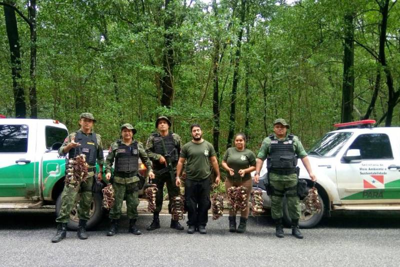 A fiscalização ambiental da Secretaria de Estado de Meio Ambiente e Sustentabilidade (Semas) apreendeu cerca de dois mil caranguejos durante uma operação de proteção ao período de defeso, que percorreu diversos municípios em janeiro e fevereiro. 

FOTO: ASCOM SEMAS
DATA: 22.02.2018 <div class='credito_fotos'>Foto: ASCOM SEMAS   |   <a href='/midias/2018/originais/b597498a-e4d9-45fb-a802-9371c798fb19.jpg' download><i class='fa-solid fa-download'></i> Download</a></div>