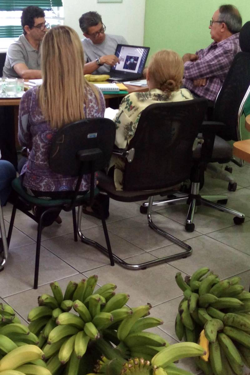 As ações da bananicultura dentro do Pará Produtivo foram o tema de uma reunião na sede da Empresa de Assistência Técnica e Extensão Rural do Estado do Pará (Emater), na manhã desta quinta-feira (22). O programa já implantou no nordeste paraense, aproximadamente 45 hectares de área plantada de banana, e é executado pela Emater, que acompanha os produtores no nordeste paraense.

FOTO: ASCOM EMATER
DATA: 22.011.2018
MARITUBA - PARÁ <div class='credito_fotos'>Foto: ASCOM EMATER   |   <a href='/midias/2018/originais/be8b5f56-bce7-4a5e-8aa7-b68d4ce68185.jpg' download><i class='fa-solid fa-download'></i> Download</a></div>