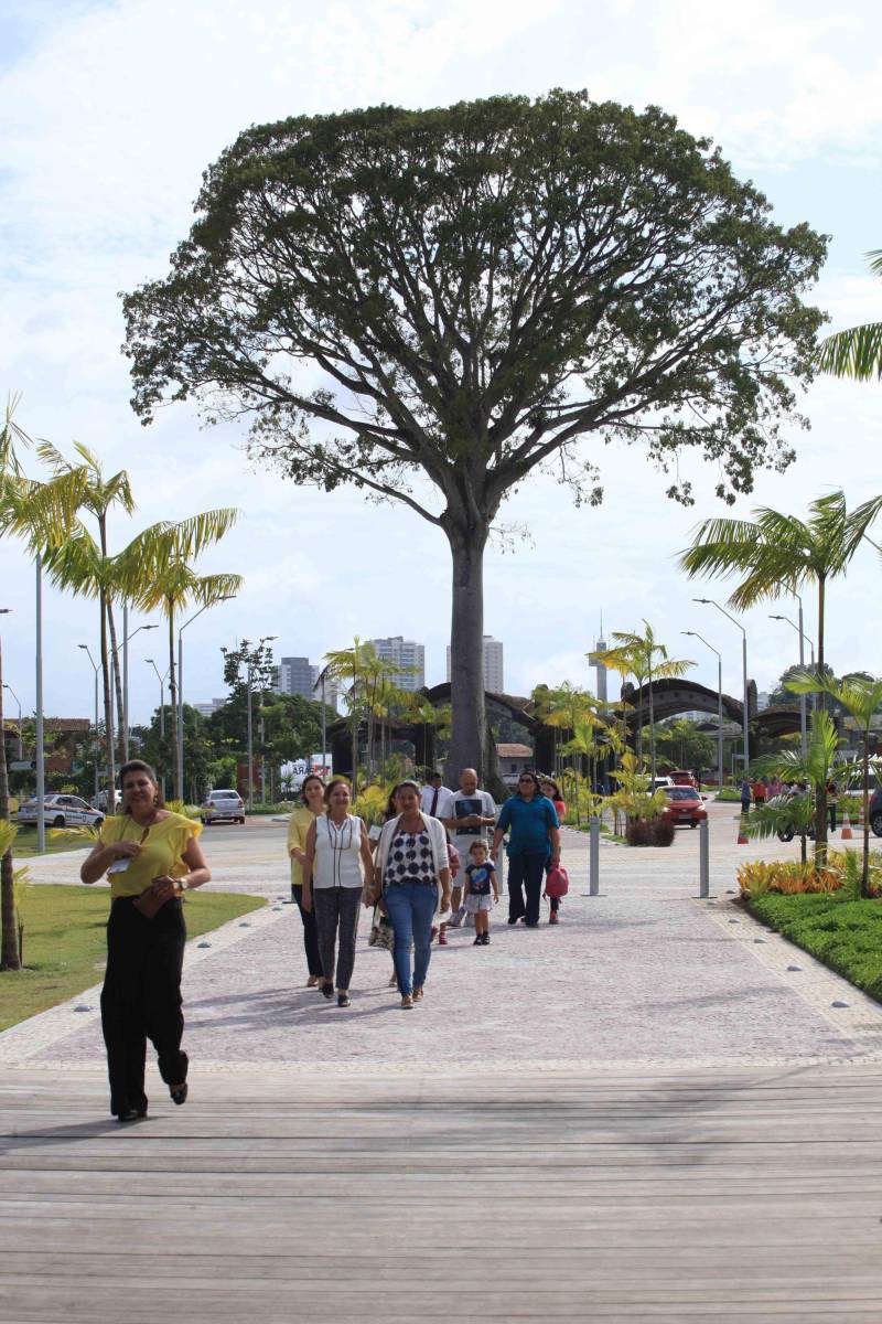 O Parque Estadual do Utinga (PEUt) o mais importante espaço de preservação e estudo da biodiversidade dentro da Região Metropolitana de Belém será reaberto à população a partir desta sexta,16, a partir das 16h30, com apresentações artísticas, com o Boi Veludinho, crianças do Pro Paz e a premiada Orquestra Sinfônica do Theatro da Paz. A apresentação será em um espaço ao ar livre e não será necessária a retirada de ingressos, por esse motivo, a recomendação é que o público chegue cedo, porque a entrada será fechada quando o espaço estiver lotado. 

FOTO: MÁCIO FERREIRA / AG PARÁ 
DATA: 16.03.2018 
BELÉM - PARÁ <div class='credito_fotos'>Foto: MÁCIO FERREIRA/ AG. PARÁ   |   <a href='/midias/2018/originais/c2ca6ed0-cccc-4c5e-9cc9-8c71365042a2.jpg' download><i class='fa-solid fa-download'></i> Download</a></div>