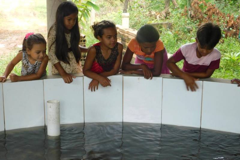 Mais de 2200 filhotes de tracajás e de tartarugas-da-amazônia foram soltos à beira do rio Araguaia na primeira semana de maio. A soltura foi realizada pela Gerência da Região Administrativa do Araguaia (GRA) do Instituto de Desenvolvimento Florestal e da Biodiversidade (Ideflor-bio), em parceira com o Instituto Ambiental Xambioá (IAX), no município de São Geraldo do Araguaia, no sudeste do Pará, e representou cerca 52% dos ovos de quelônios que foram resgatados em ações das instituições em 2017.

FOTO: ASCOM IDEFLOR-BIO
DATA: 08.05.2018
SÃO GERALDO DO ARAGUAIA - PARÁ <div class='credito_fotos'>Foto: ASCOM SEMAS   |   <a href='/midias/2018/originais/c4f5f1bf-18c6-4343-8360-845329399149.jpg' download><i class='fa-solid fa-download'></i> Download</a></div>