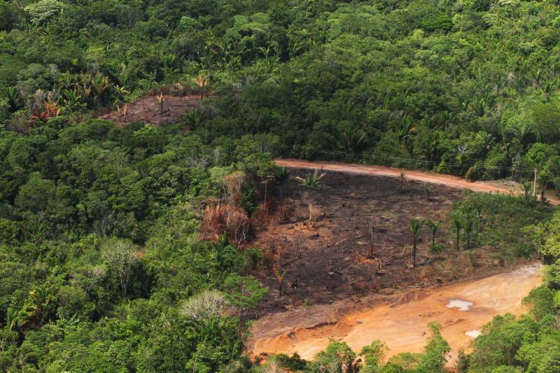 As ações de gestão ambiental, que envolvem a proteção dos recursos naturais do Pará, desenvolvidas pela Secretaria de Meio Ambiente e Sustentabilidade (Semas) em 2017, resultaram na queda da taxa de desmatamento, constatada pelos dados do Projeto de Monitoramento do Desmatamento na Amazônia Legal por Satélite (Prodes), do Instituto Nacional de Pesquisas Especiais (Inpe). Somente no território paraense da Floresta Amazônica o desmatamento diminuiu 19%. Entre 1º de agosto de 2016 e 31 de julho de 2017, foram 2.413 km² de desmatamento, 579 km² menos do que no mesmo período do ano anterior, quando o desmatamento da floresta no Pará foi de 2.992 km². Esta foi a maior redução em área desmatada divulgada este ano, dentre os nove Estados que compõem a Amazônia Legal.

FOTO: CRISTINO MARTINS / ARQUIVO / AG. PARÁ
 <div class='credito_fotos'>Foto: Cristino Martins/Ag. Pará   |   <a href='/midias/2018/originais/ca5af5fd-a210-404d-ba12-dc9c97c6b914.jpg' download><i class='fa-solid fa-download'></i> Download</a></div>