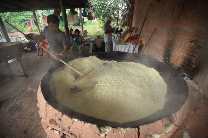 O dia começa cedo para a família do agricultor Adilson dos Santos, 33 anos. Produtores de mandioca da comunidade quilombola Boa Vista do Itá, de Santa Izabel do Pará, região metropolitana de Belém, eles são o retrato de uma tradição que vem se perpetuando por gerações e garantindo na mesa dos paraenses o produto que é a base alimentar do Estado. Do plantio ao beneficiamento, o lavrador herdou do pai a cultura que hoje é a principal fonte de renda da vila, onde vivem cerca de 50 famílias. No Pará, 96% da mandioca produzida vem da agricultura familiar. “Mandioca é pop, mandioca é tudo”, brinca Adilson. Ele está certo. Os produtos derivados da planta são diversos e ajudam a compor alguns dos pratos típicos mais conhecidos da região. Quase onipresente na mesa do paraense, a farinha é, muitas vezes, o alimento principal, nos sete dias da semana. Mas para chegar até as nossas casas, é preciso muito esforço e dedicação, aliado ao emprego de pesquisa e investimentos cada vez maiores do poder público. O conhecimento empírico do homem do campo hoje recebe o apoio de novas tecnologias e técnicas de plantio, que resultam em mais qualidade e produtividade.

FOTO: MÁCIO FERREIRA / AG PARÁ
DATA: 25.02.2018
SANTA IZABEL DO PARÁ
 <div class='credito_fotos'>Foto: MÁCIO FERREIRA/ AG. PARÁ   |   <a href='/midias/2018/originais/cb0c4b90-8a16-4b84-bb35-02b8d7d9f554.jpg' download><i class='fa-solid fa-download'></i> Download</a></div>