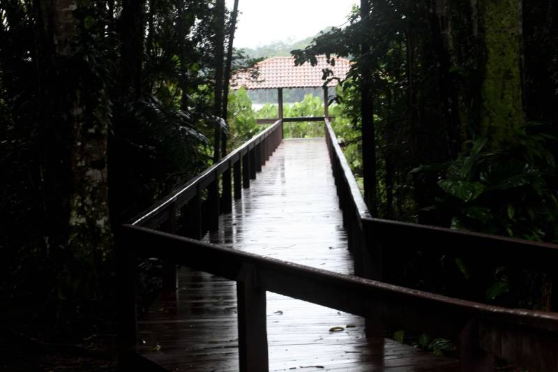 Jornalistas, influenciadores digitais e membros da sociedade civil organizada participaram, nesta quinta-feira (15), da visita guiada ao Parque Estadual do Utinga (Peut) que será inaugurado na sexta-feira (16), às 16h30. Os convidados foram recebidos pelo secretário estadual de Cultura, o arquiteto Paulo Chaves; pelo presidente do Ideflor-bio, Thiago Novaes; pelo gerente do Peut, Julio Meyer; pelo secretário de comunicação, Daniel Nardin e pelo representante da diretoria da Unidade de Conservação do Parque, Wendel Andrade. O evento começou às 9h com a apresentação das melhorias feitas no espaço durante as obras, dos serviços que funcionarão no local e de algumas normas de utilização desse novo equipamento. 

FOTO: SIDNEY OLIVEIRA / AG. PARÁ
DATA: 15.03.2018
BELÉM - PARÁ <div class='credito_fotos'>Foto: Sidney Oliveira/Ag. Pará   |   <a href='/midias/2018/originais/da9c1ebb-7a7e-4148-bedb-5940251310e6.jpg' download><i class='fa-solid fa-download'></i> Download</a></div>