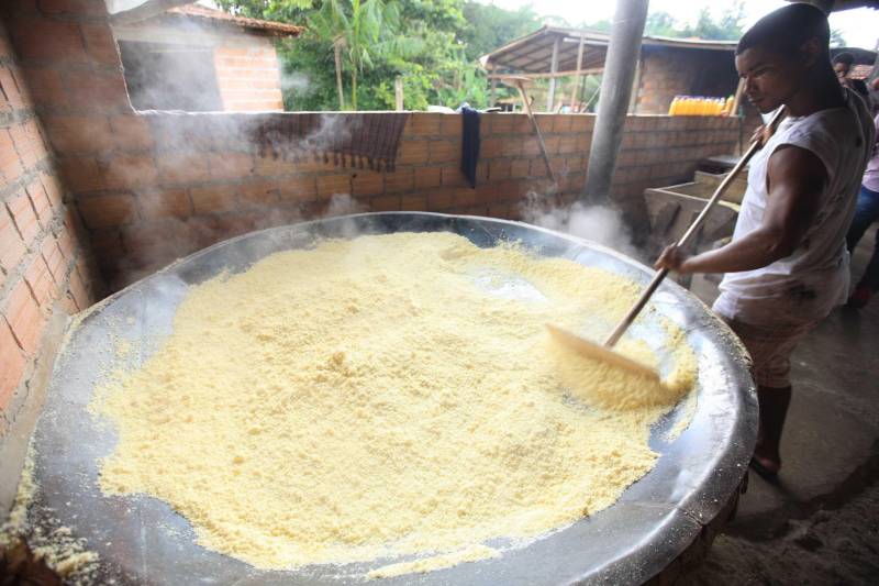 O dia começa cedo para a família do agricultor Adilson dos Santos, 33 anos. Produtores de mandioca da comunidade quilombola Boa Vista do Itá, de Santa Izabel do Pará, região metropolitana de Belém, eles são o retrato de uma tradição que vem se perpetuando por gerações e garantindo na mesa dos paraenses o produto que é a base alimentar do Estado. Do plantio ao beneficiamento, o lavrador herdou do pai a cultura que hoje é a principal fonte de renda da vila, onde vivem cerca de 50 famílias. No Pará, 96% da mandioca produzida vem da agricultura familiar. “Mandioca é pop, mandioca é tudo”, brinca Adilson. Ele está certo. Os produtos derivados da planta são diversos e ajudam a compor alguns dos pratos típicos mais conhecidos da região. Quase onipresente na mesa do paraense, a farinha é, muitas vezes, o alimento principal, nos sete dias da semana. Mas para chegar até as nossas casas, é preciso muito esforço e dedicação, aliado ao emprego de pesquisa e investimentos cada vez maiores do poder público. O conhecimento empírico do homem do campo hoje recebe o apoio de novas tecnologias e técnicas de plantio, que resultam em mais qualidade e produtividade.

FOTO: MÁCIO FERREIRA / AG PARÁ
DATA: 25.02.2018
SANTA IZABEL DO PARÁ
 <div class='credito_fotos'>Foto: MÁCIO FERREIRA/ AG. PARÁ   |   <a href='/midias/2018/originais/f34c0ae3-ba2d-4489-b77d-cecb7117fbc5.jpg' download><i class='fa-solid fa-download'></i> Download</a></div>