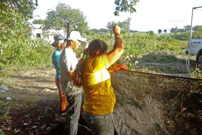 galeria: Agricultores de Mojuí dos Campos recebem capacitação para produzir mudas de Castanheira e Ipê