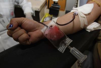 galeria: Hemopa faz coleta de sangue em Icoaraci