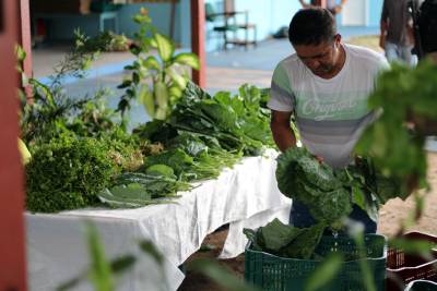 galeria: Detentos entregam produção de hortaliças para instituições de caridade em Santarém