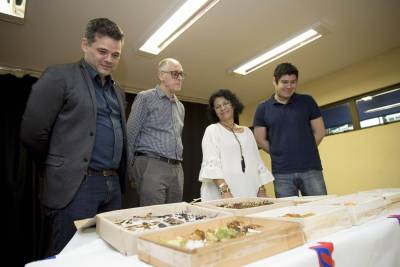 galeria: Uepa entrega mais de 500 espécimes de insetos ao acervo do Museu Nacional