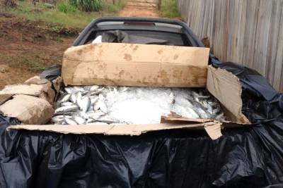 galeria: Operação de fiscalização combate pesca ilegal na região do Lago de Tucuruí
