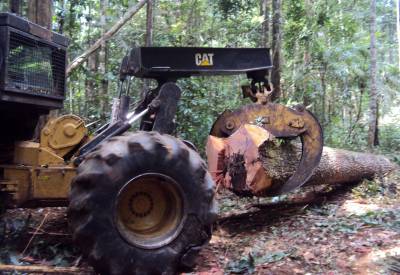 galeria: Fórum online discute decreto sobre Política de Manejo Florestal